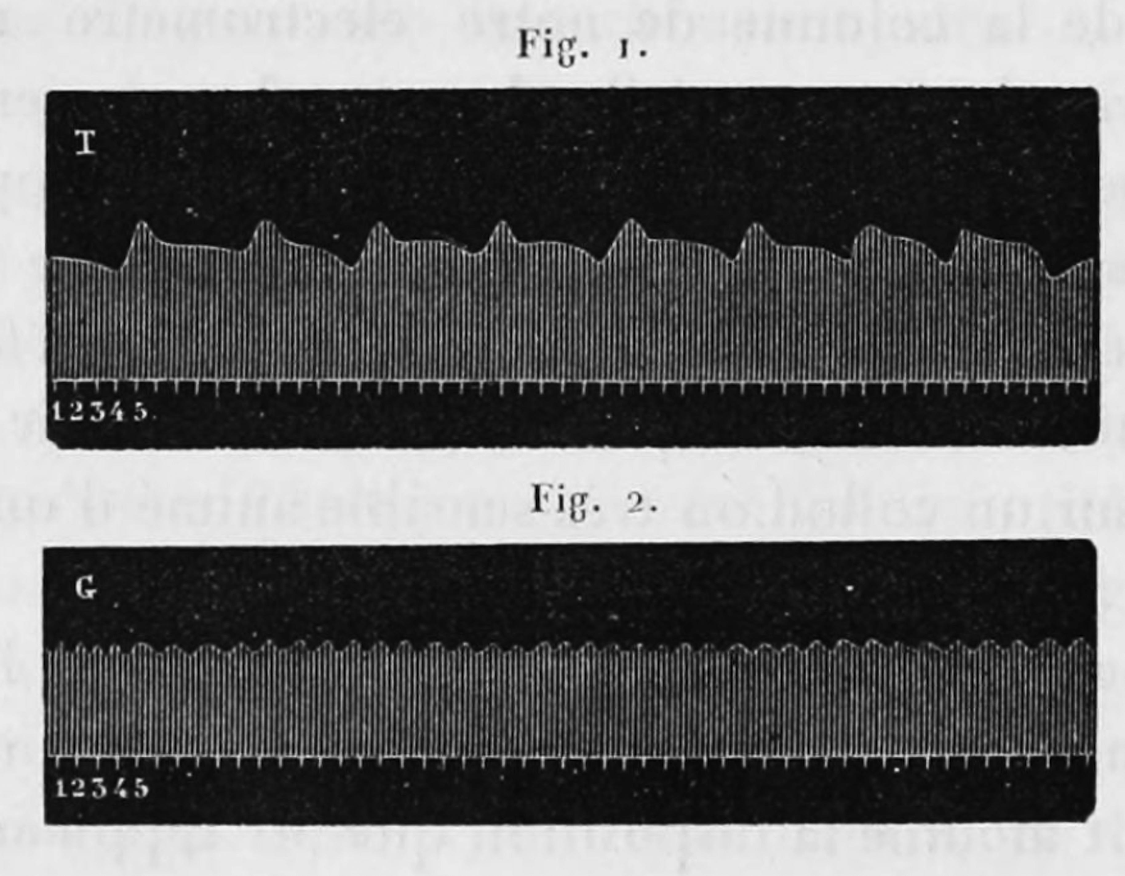 Engraving of two superposed drawings reproducing the time-lapse photonegatives of the height of two mercury columns.