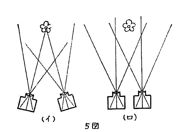 Two camera setups for stereographs with lines emanating from the lenses: one with lines converging on the flower and one with parallel lines.