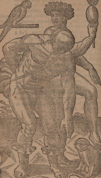 Two male figures, naked save for feather adornments. The man in the foreground is reaching down toward a monkey. The man in the background is dancing with his gaze cast toward a nearby parrot.