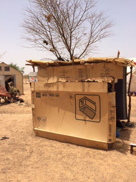 Cardboard reinforced with wood and plant material, sits as a shelter before a leafless tree on barren ground.