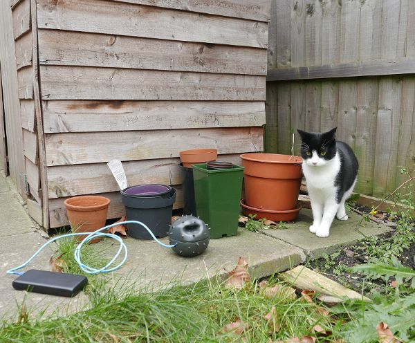 Dustbox installation in the Deptford Park area, showing an outdoor test with battery power and cat inspection.