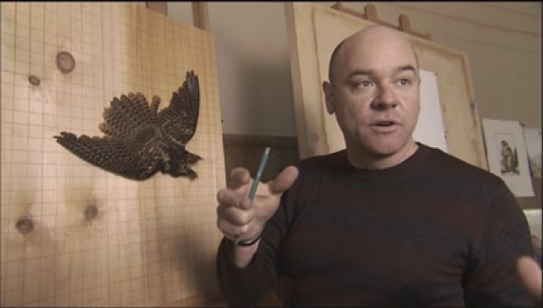 A bald man holding a pencil in a workshop speaking with someone out of the frame. Behind him a bird is mounted onto a gridded wooden plank.
