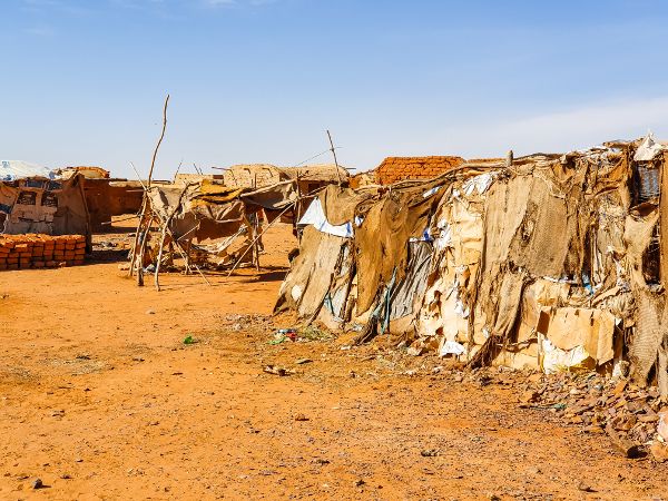 Small shelters composed of found and available materials, primarily fabric and plant based.