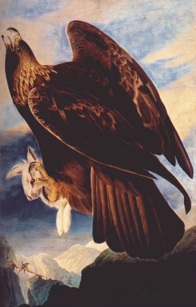 Painting of a golden eagle with a rabbit in its talons.