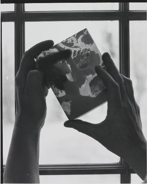 Two hands hold up a glass negative of a fragment of a snow-covered tree trunk.