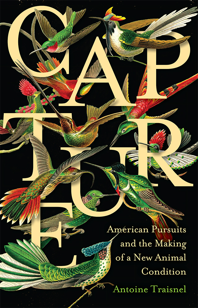 Main title text is partially obscured by depictions of different species of birds, all on a black background.