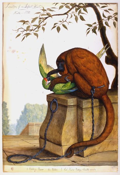 A painting of a chained monkey holding down a parrot. The parrot seems to be resisting with vigor. The monkey's face is directed toward the viewer, through the fourth wall, with a look of malice.