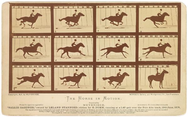 A composite image made up of a grid of twelve individual frames, four across and three down. Each frame shows the silhouette of a horse and rider in motion.
