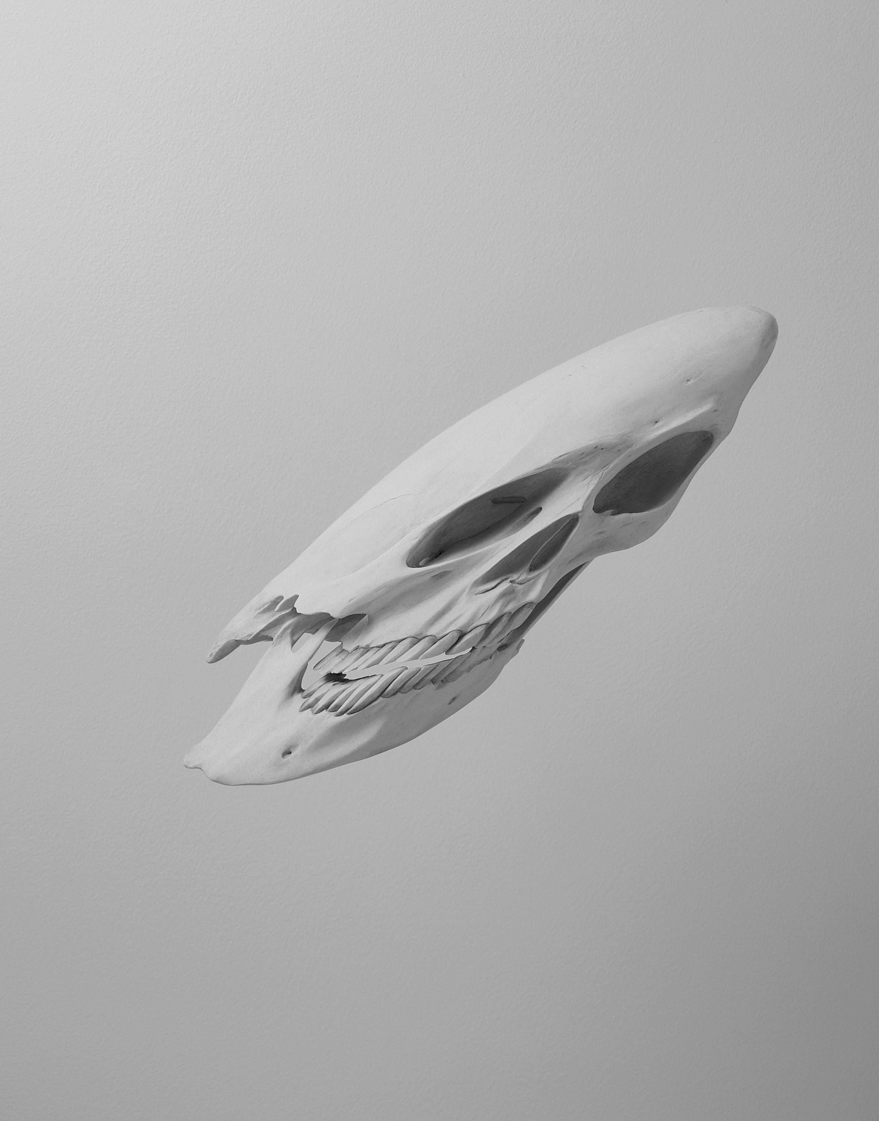 First of four details of skulls, this one depicting a stretched human skull vertically and to the right.