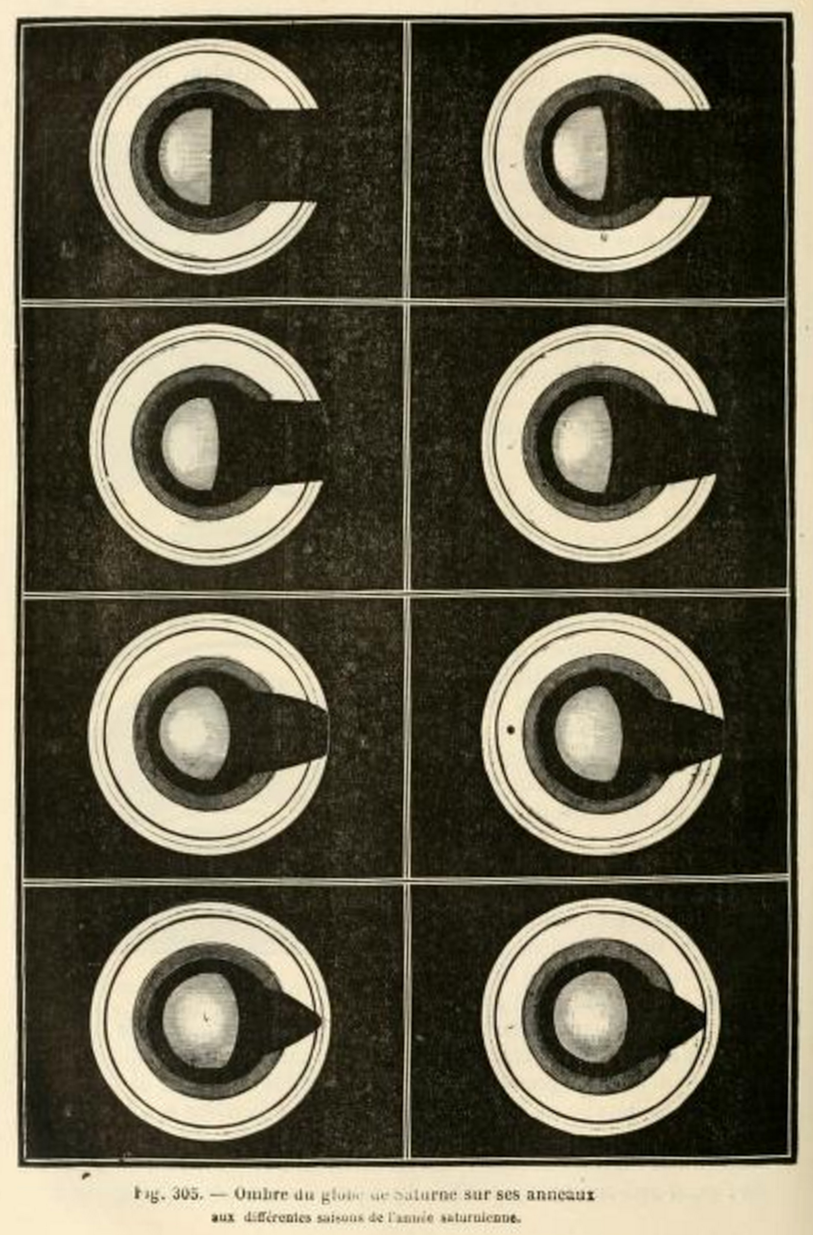 Engraving of eight images of Saturn viewed from above showing the shadow of the planet projected on its rings.