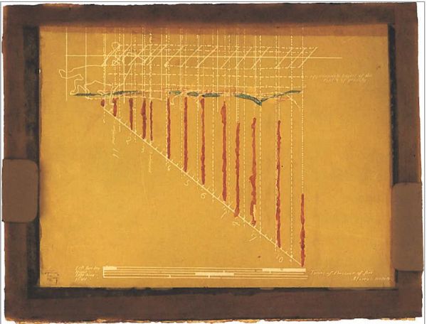 One still frame of a horse with rider is analyzed against a measured grid that angles forty-five degrees down from the horse to the corner of the frame.