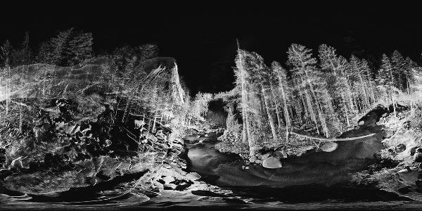 A ghostlike, distorted landscape in black and white, depicting the edge of a forest with possibly a river flowing through.