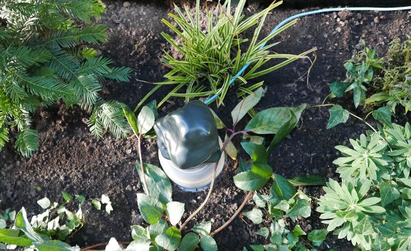 Dustbox installation in air-quality gardens at the Museum of London.