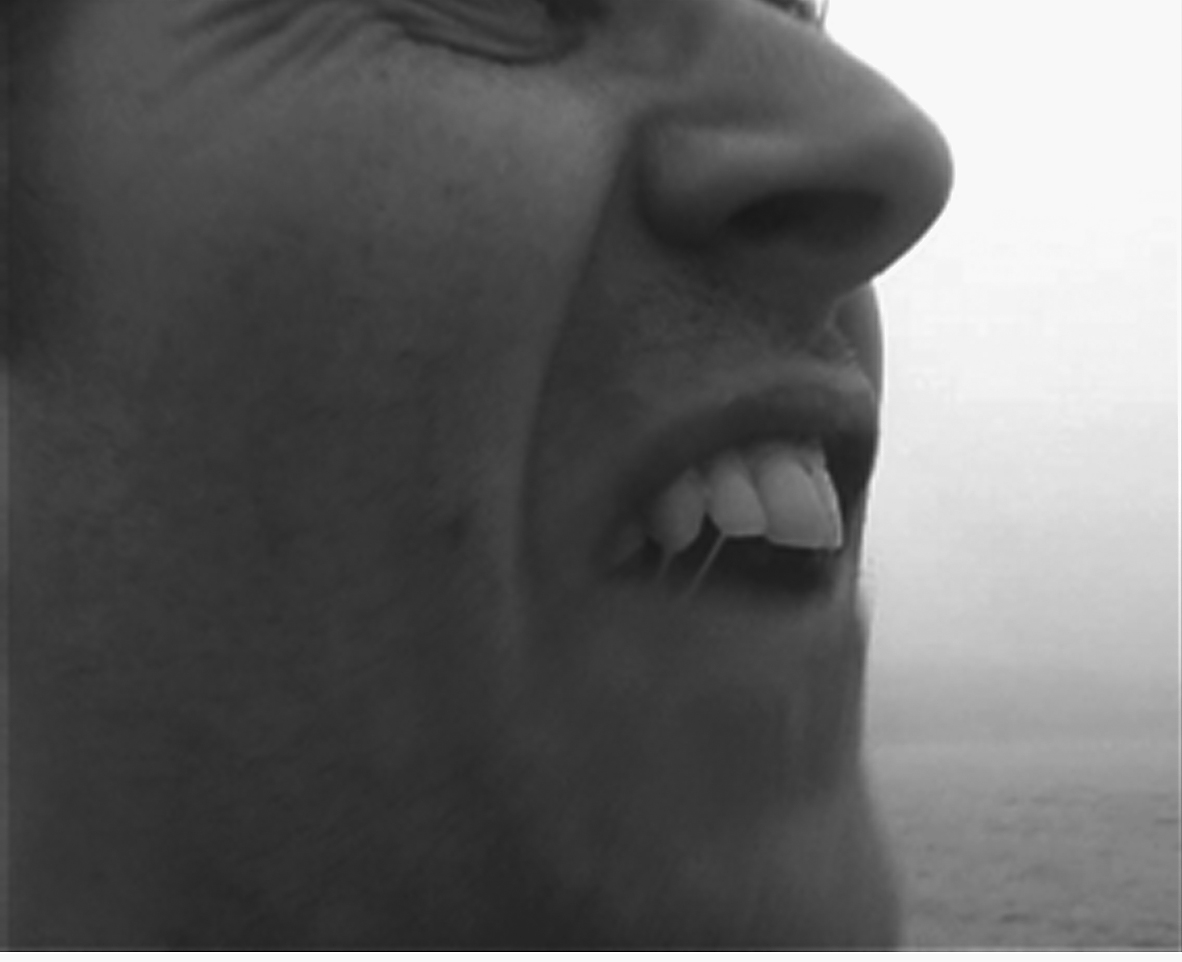 A close-up of Marcus Coates’s face, focusing on their mouth and nose, with a strand of grass or similar object caught between their teeth.