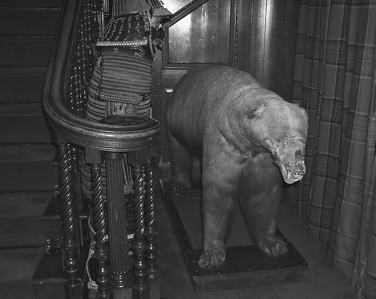 A taxidermy polar bear displayed on a wooden base near a staircase in a dimly lit interior.