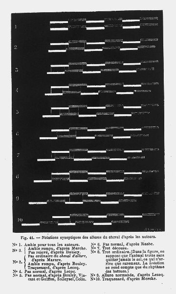 An abstract image of ten lines of black and white bars that depict movement. Below the text an explanation of the notation system in French.