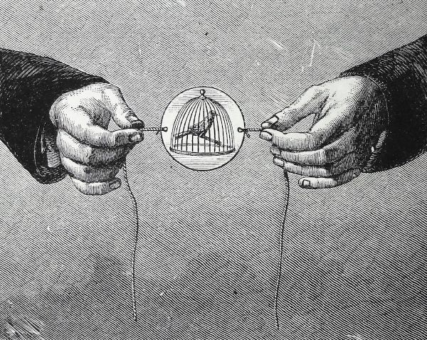 A pencil drawing of two hands holding the string attached tot he thaumatrop. Depicted on the device is a caged bird.