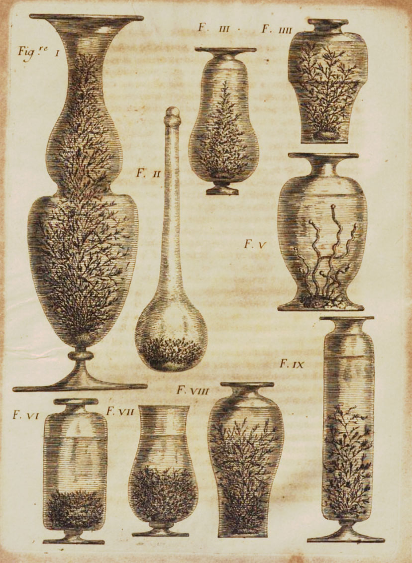 Engraving of nine flasks containing various chemical solutions with small treelike structures made of crystallized metals.