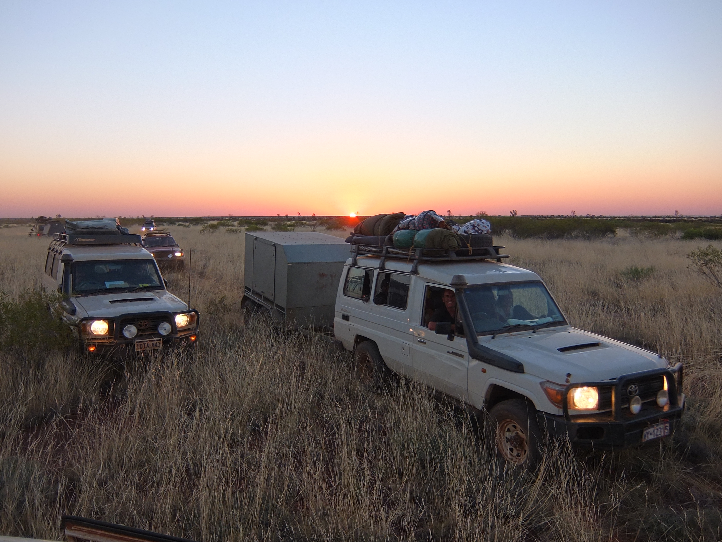 In the foreground, two troopys are driving through tall grass with their headlights on at sunset. Other vehicles are following in the background.