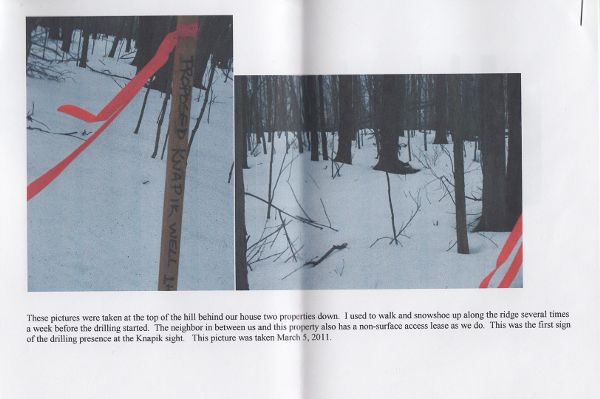 Participating contribution to Logbook showing wooded area where fracking development was planned, indicated with tagged stakes.