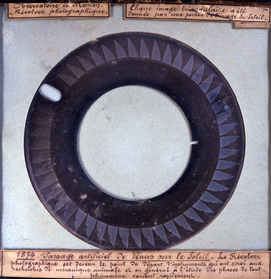 Circular photographic plate showing forty-eight shots of a section of the Sun crossed by the advancing black dot of planet Venus.