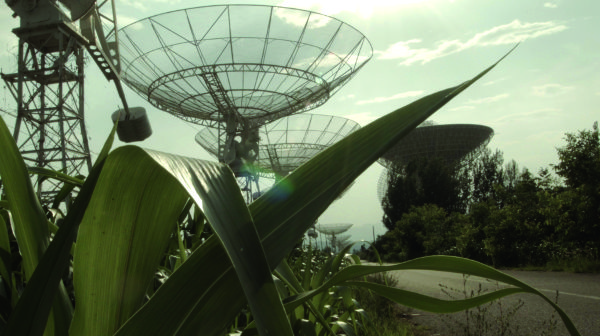 A photographic still from ground level, showing a satellite ground station behind the large green leaves.