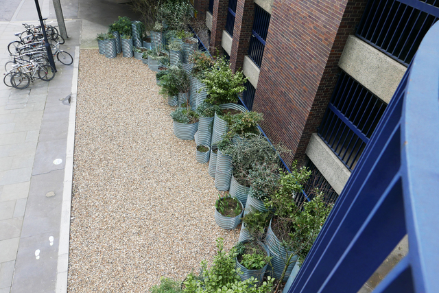Looking down onto a urban space between a building and sidewalk; it is rocked with an array of metal planters each holding small trees and shrubs.