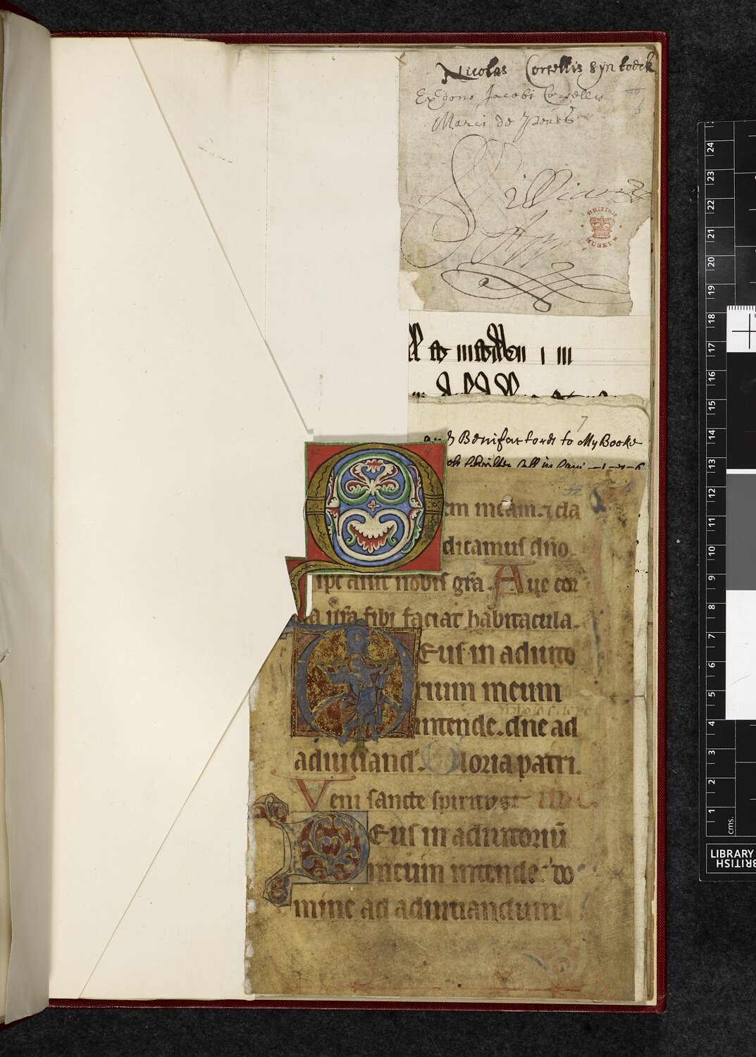 Photograph of a manuscript initial "Q" removed from one of John Bagford's albums of scraps 