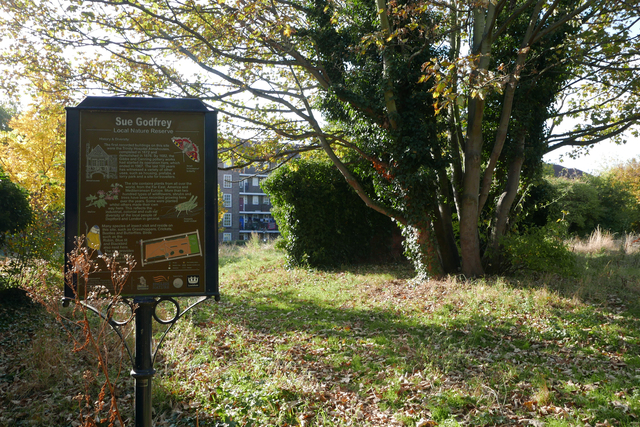 A placard reading “Sue Godfrey Local Nature Reserve” positioned in a green space beside a tree and green grass littered with fallen leaves.