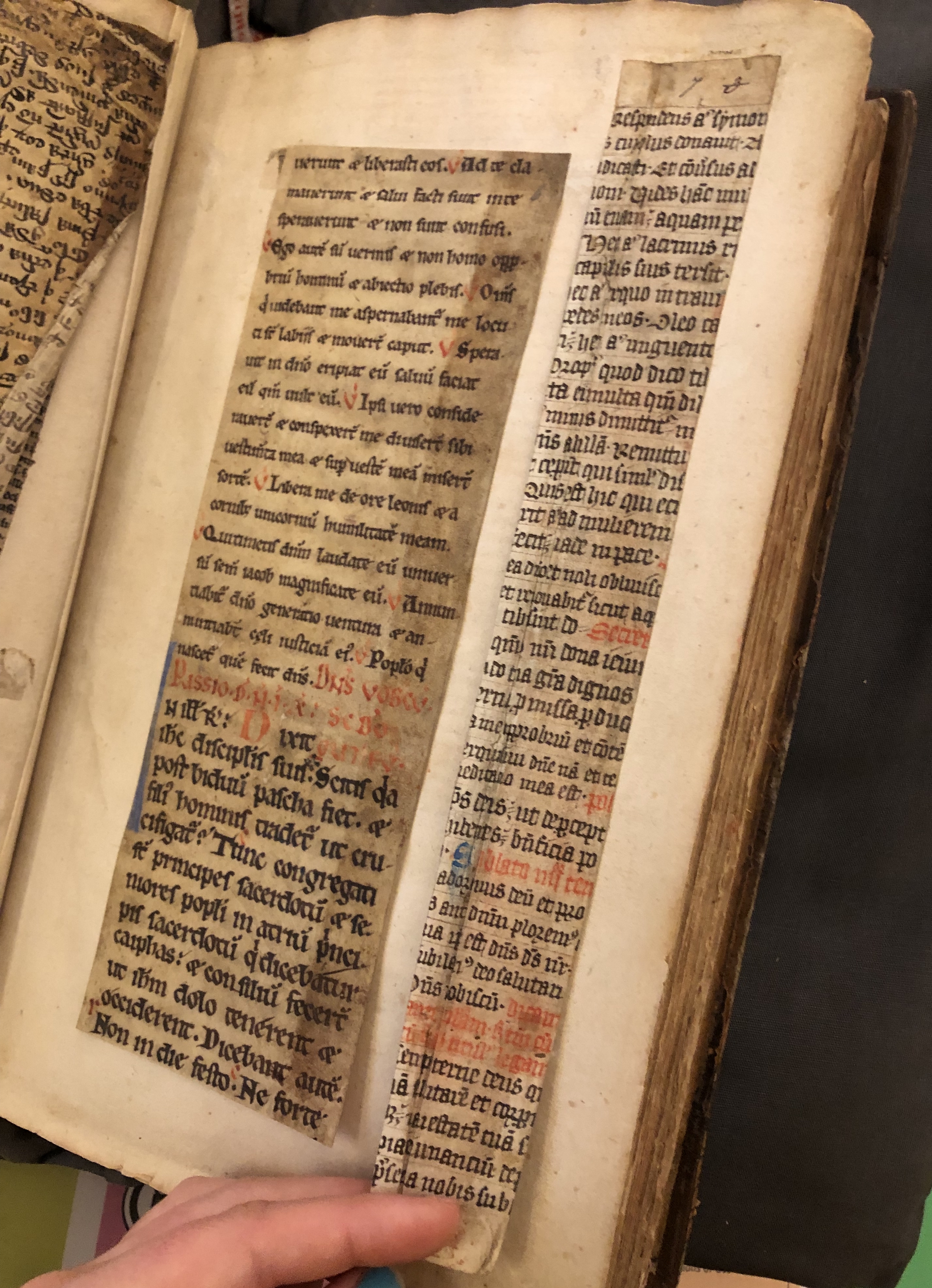 Photograph of medieval binding waste in one of John Bagford's albums of specimens