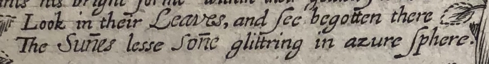 Cropped close-up of a photograph of lines engraved on the second emblem of *The Purple Island* (1633).