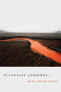 A river, altered to appear red like lava, flows through a barren, colorless landscape with only white skies and brown dirt to provide context.